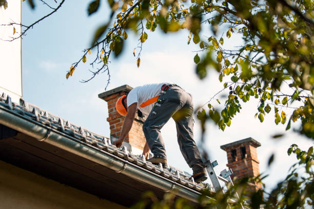 Best Metal Roofing Contractor  in Enlow, PA