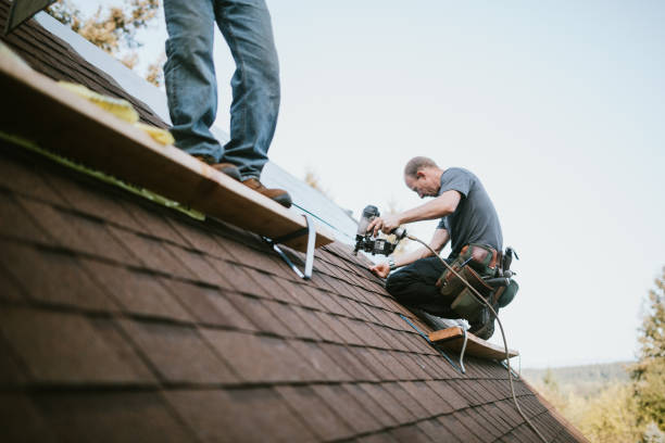 Best Roof Gutter Cleaning  in Enlow, PA